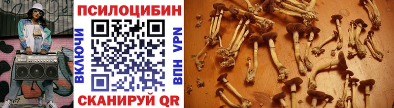 Псилоцибиновые грибы Magic Shrooms Кулебаки
