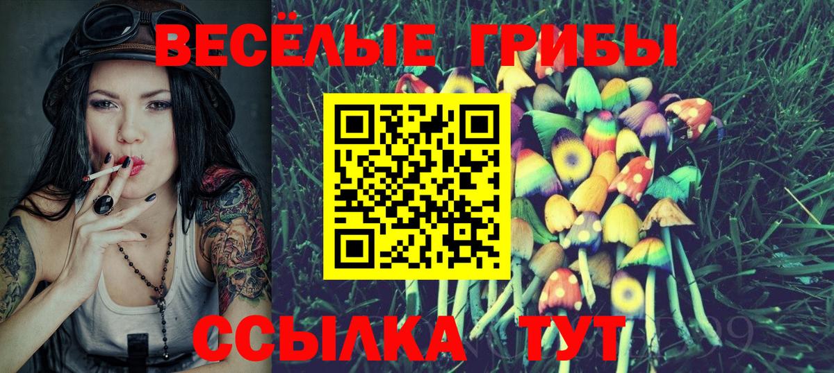 Галлюциногенные грибы MAGIC MUSHROOMS Кулебаки