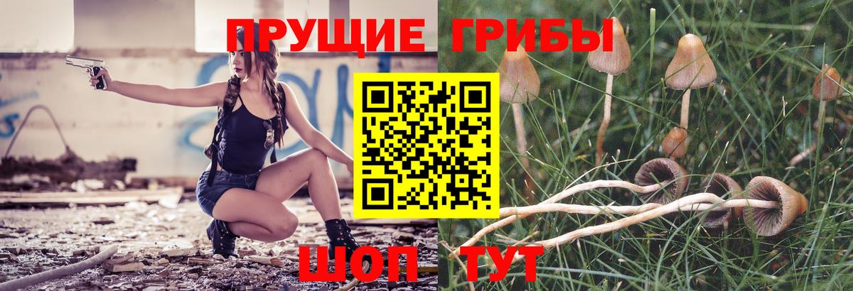 Псилоцибиновые грибы Psilocybine cubensis  Псилоцибиновые грибы ЛСД  Вход с VPN  Кулебаки 